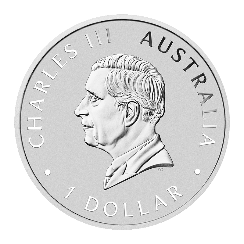 Buy 1 oz Australian Koala Silver Coin (2025) | Price in Canada